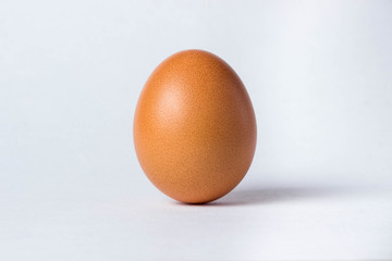 one brown egg stands on a white background