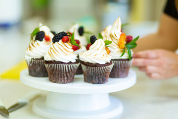 Plate with freshly baked sweet muffins. Sweet pastries, recipes, cooking