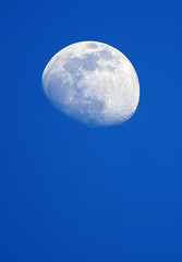 View of the moon and its craters over a blue night sky