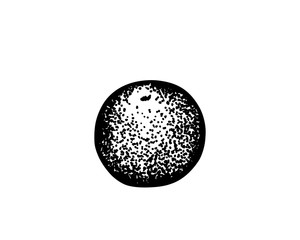 Drawing of an orange with black stippling, vector illustration