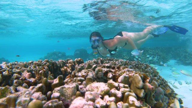 UNDERWATER, CLOSE UP: Female tourist snorkels around the colorful coral reef in the Maldives. Young woman snorkeling in Maldives swims past a recovering coral near a remote island in the Maldives.