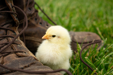 a chick by leather work boots