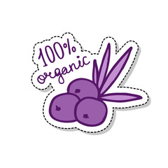 acai berries sticker doodle icon