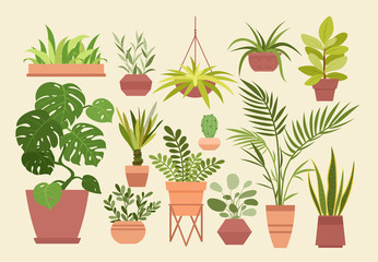 Plant in pot vector illustration set, cartoon flat different indoor potted decorative house plants for interior home or office decoration isolated. Hygge and scandinavian design plants in pots