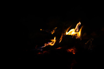 The fire is blown on a dark background.