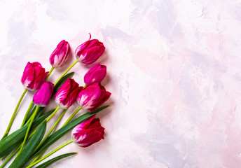 Light pink background with tulips