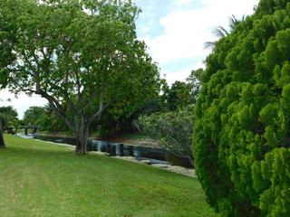 landscapes,green place,trees,lake
