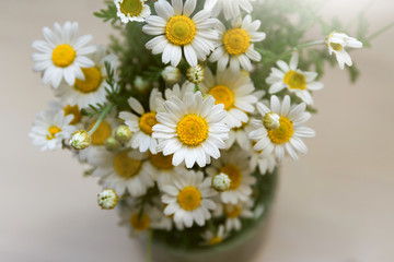 Bouquet of camomile flowers on wooden table.