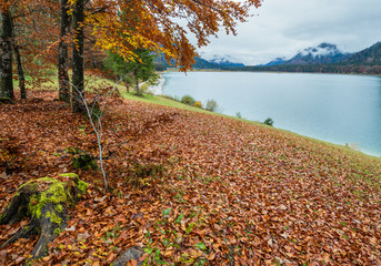 Alpine  Sylvenstein Stausee lake on Isar river, Bavaria, Germany. Autumn overcast, foggy and...