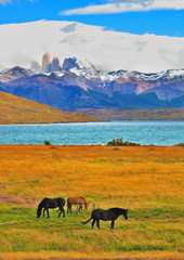  Lake in the mountains