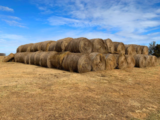 large supply of hay bales © cfarmer
