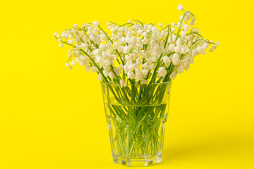 Lily of the Valley (Convallaria Majalis) isolated on yellow background
