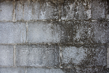 old stone wall