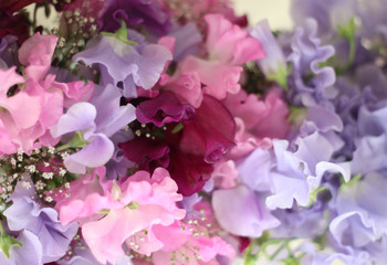 Blooming sweet peas. Artificial Summer flowers for interior decoration. Beautiful bouquet of blossom blue sweet peas.  Happy birthday!