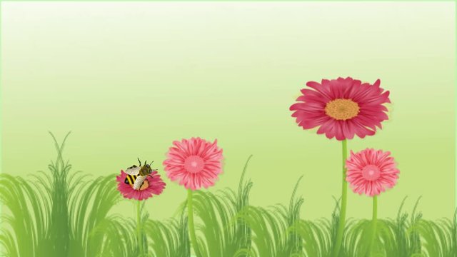Motion Graphic with Bee and flowers. Simple Motion Graphic.