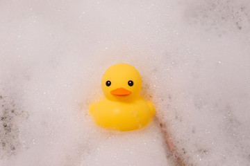 Yellow rubber duck in the bath with bubble foam