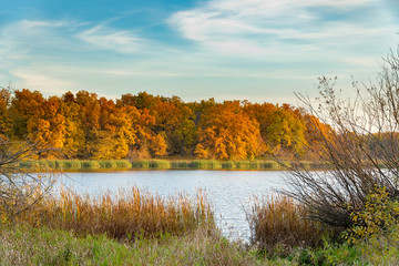 Beautiful autumn orange-yellow forest on the shore of the lake in Sunny weather