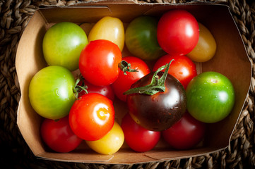 Fresh, colorful red, green, yellow and purple tomatoes served on a rustic dish.