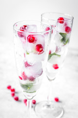 mint and red berries in ice cubes in glasses white background