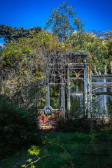 Fototapeta premium Abandoned house covered by bushes