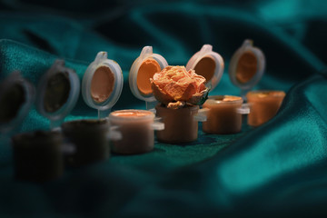Set of beautiful orange paints and a beautiful rose on a green background..