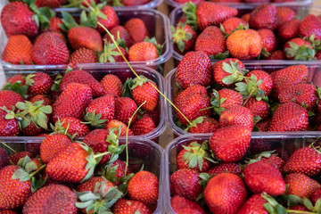 fresh and delicious strawberries at the market