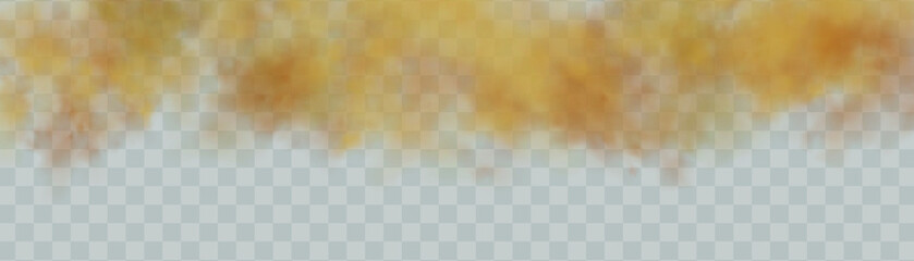 Dust cloud with particles with dirt,cigarette smoke, smog, soil and sand  particles. Realistic vector isolated on transparent background. Concept house cleaning, air pollution,big explosion.