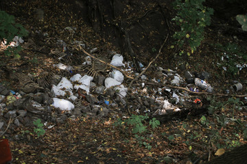Obraz premium Huge pile of garbage in the forest