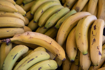 fresh and delicious bananas at the market