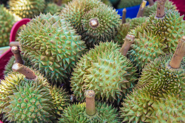 Naklejka na ściany i meble Close up many durian is in the basket in front of the market, Durian is a tropical fruit in Thailand that is very popular.