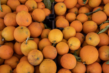 fresh and delicious oranges at the market