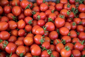 fresh and delicious tomatoes at the market