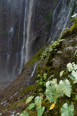 Close-up view of the fresh, noisy and intense water in Tumpak Sewu Waterfall, in East Java, Indonesia.