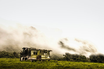 Fototapeta na wymiar Green old abandoned house on a foggy hill and a cow