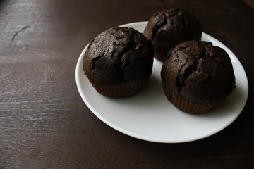 Chocolate cupcakes on a white plate