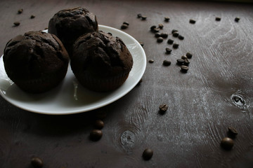 Chocolate cupcakes on a white plate