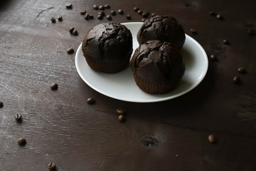 Chocolate cupcakes on a white plate