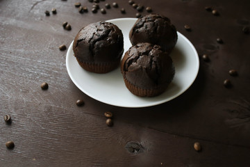 Chocolate cupcakes on a white plate