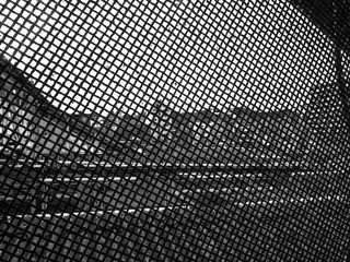 A metallic fence.
Black and white picture of a metallic fence who's hiding the city who's behind it.