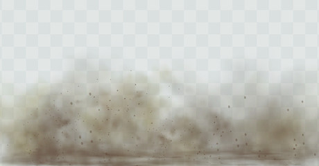 Dust cloud with particles with dirt,cigarette smoke, smog, soil and sand  particles. Realistic vector isolated on transparent background. Concept house cleaning, air pollution,big explosion.