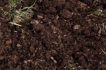 soil