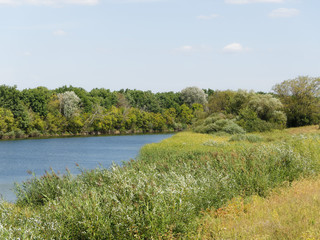 Beautiful summer landscape. The Bolshoi Irgiz River, Russia. Sunny day.