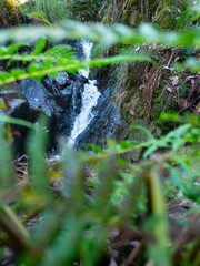 small waterfall in forest long exposure
