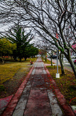 camino