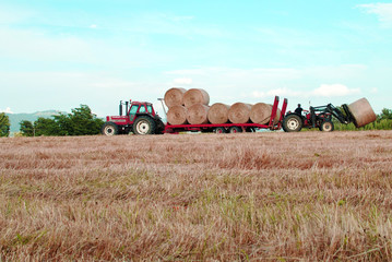 Obraz premium tractor in field