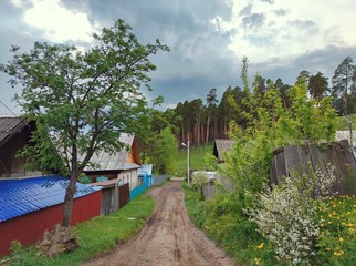 rural street between houses leading to a forest with tall pine trees against the sky with clouds before the rain