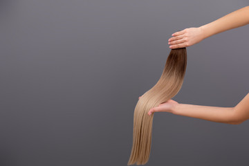 samples of dyed hair. two hands holding a hair cut for extension on grey background