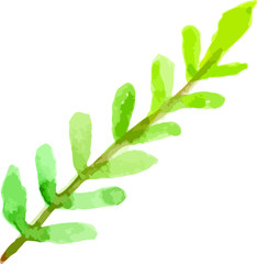 olive leaf handpainted