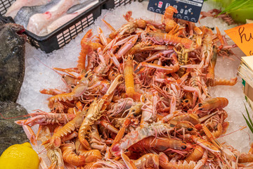 Garnelen im Eisbecken 