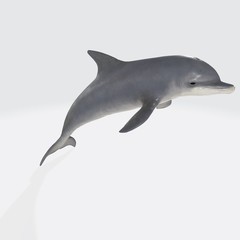 3d illustration of dolphin. 3d model of fish with open mouth.